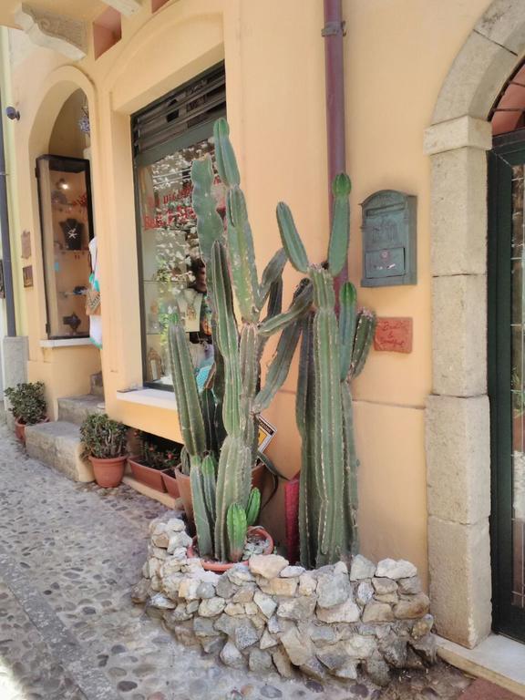 Le Piccole Grotte Bed & Breakfast Scilla Ngoại thất bức ảnh